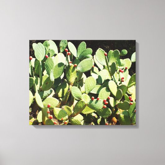 Cactusvijg Canvas Afdruk (Voorkant)