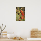 Cactusvijg in bloei, Arizona-Sonora 2 Poster (Keuken)