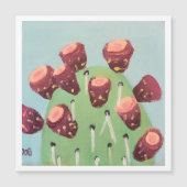 Cactusvijg woestijncactus (Voorkant)
