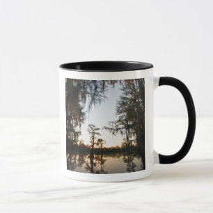 Caddo Lake bij zonsopgang Mok