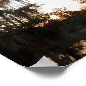 Caddo Lake bij zonsopgang Poster (Hoek)