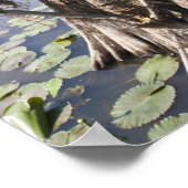 Caddo Lake, jachthut Poster (Hoek)