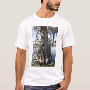 Caddo Lake, jachthut T-shirt