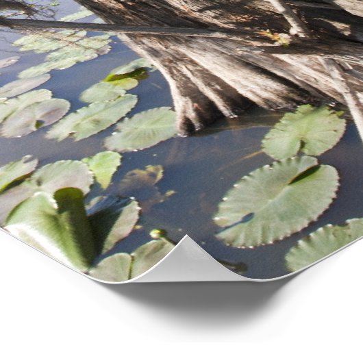 Caddomeer, blind jagen poster (Hoek)