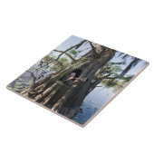 Caddomeer, blind jagen tegeltje (Zijkant)