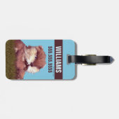 Caddyshack | Bevriezing, Gopher. Bagagelabel (Achterkant horizontaal)