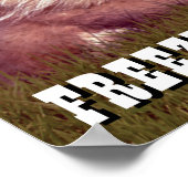 Caddyshack | Bevriezing, Gopher. Poster (Hoek)