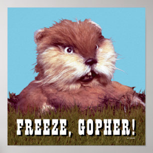 Caddyshack Bevriezing, Gopher. Poster