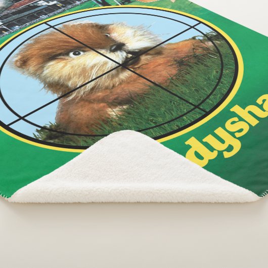 Caddyshack Poster Sherpa Deken (3/4)