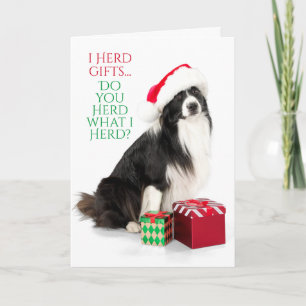 Cadeau-grens collie met kerstman feestdagen kaart