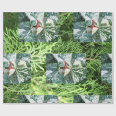 Cadeau inpakpapier (Vlak)