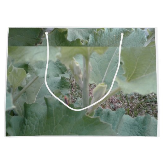 Cadeau/Kaart/MMETROPOLIM NATUUR ONTWERP Groot Groot Cadeauzakje (Voorkant)