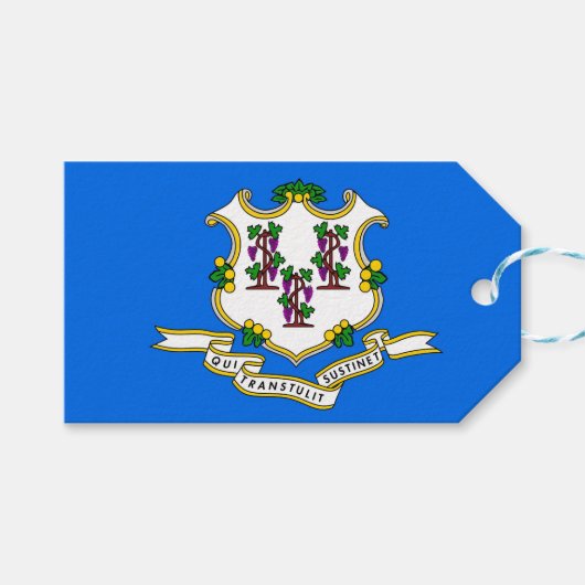 Cadeau Label met vlag van Connecticut, Verenigde S Cadeaulabel (Voorkant (Horizontaal))