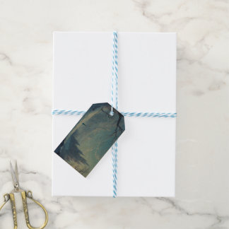 Cadeau Labels - Frozen Cadeaulabel