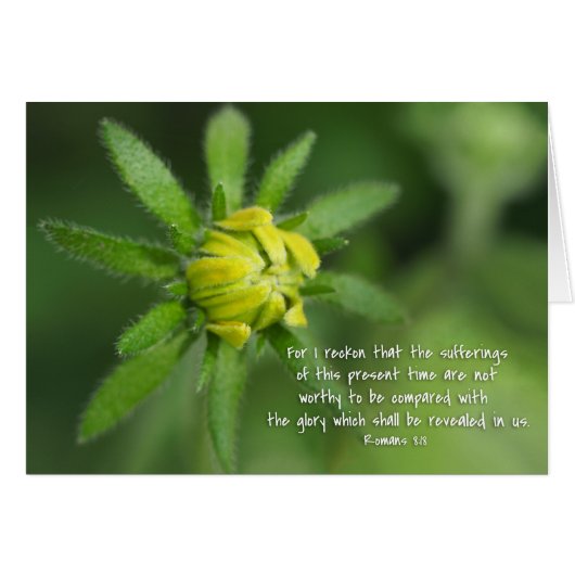 Cadeau lijden Romeinen 8:18 Yellow Daisy (Voorkant Horizontaal)