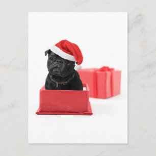 Cadeau of geschenk met zwarte hond briefkaart
