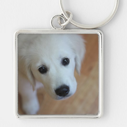 Cadeau voor dierenvrienden sleutelhanger (Voorkant)