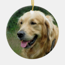 Cadeau voor kerstfoto's