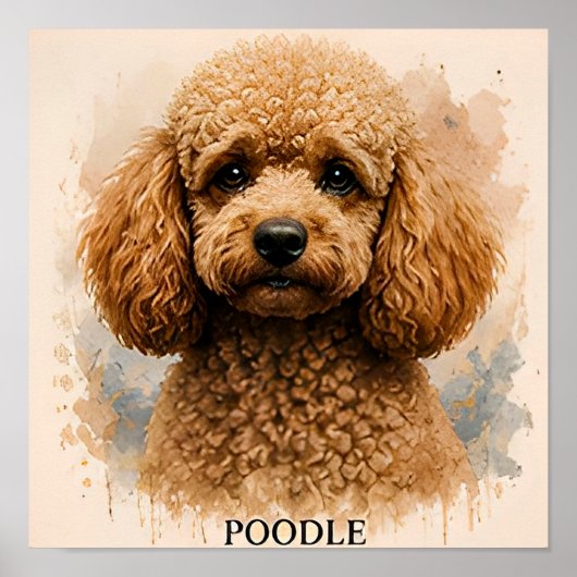 Cadeau voor poedel liefhebbers poster (Voorkant)