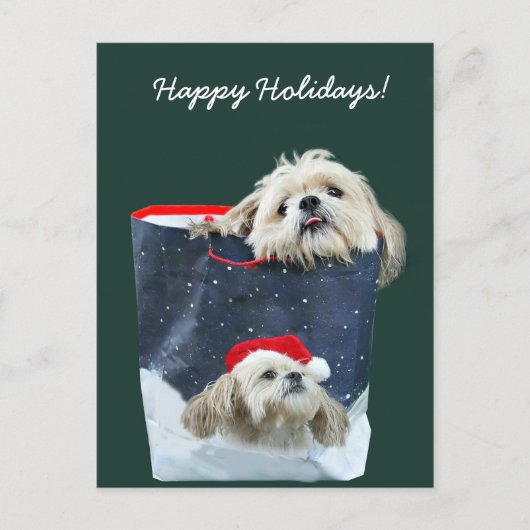 cadeau voor Shih Tzu Kerstmis Feestdagenkaart (Voorkant)