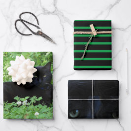 Cadeau voor zwarte kattenliefhebbers of knutselwer inpakpapier vel