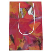 Cadeaubag - Herfstbladeren Medium Cadeauzakje (Achterkant)