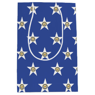 Cadeaubag met vlag van Houston, Texas, USA Medium Cadeauzakje