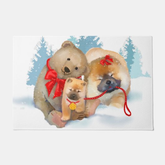 Cadeauberen Teddybeer en deurmat Chows 2 maten (Voorkant)