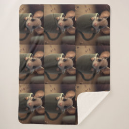 Cadeaubla deken voor kinderen/babyfeestje