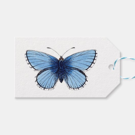 Cadeaublaadjes - Blauwe Vlinder Cadeaulabel (Voorkant (Horizontaal))
