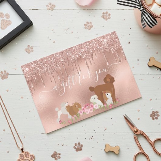 Cadeaubon Hondenverzorging Dierenarts Pension