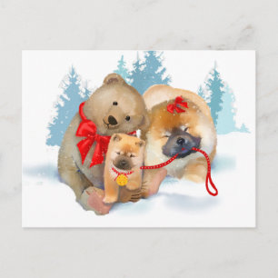 Cadeaubon met beer Chow & Teddybeer ansichtkaart Briefkaart