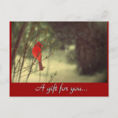 Cadeaubon voor feestdagen briefkaart (Voorkant)