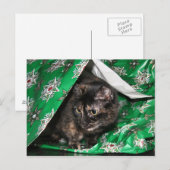 Cadeaubont Briefkaart (Voorkant / Achterkant)