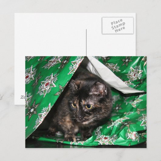 Cadeaubont Briefkaart (Voorkant / Achterkant)