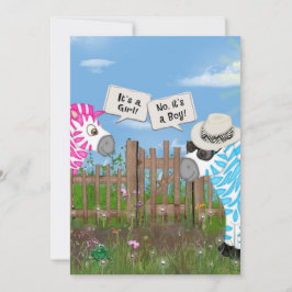 Cadeaufeestje voor babygeslacht onthulling kaart