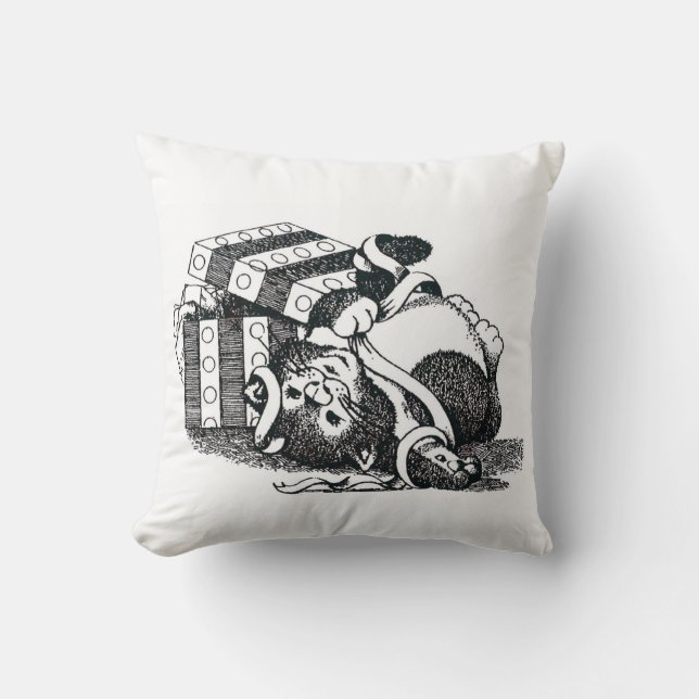 Cadeaukat Kussen (Voorkant)