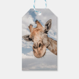 CadeauLabel met Giraffe die uit de nek tikt
