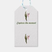 Cadeaulabels (Voorkant)