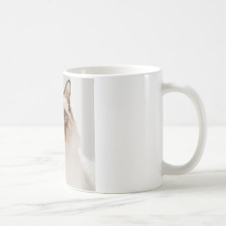 cadeaumok koffiemok