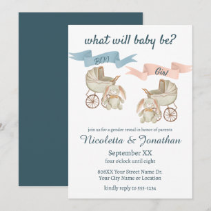 Cadeauonthulling Baby Konijn Roze of Blauw Kaart
