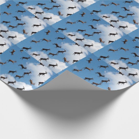 Cadeaupapier (Hoek)