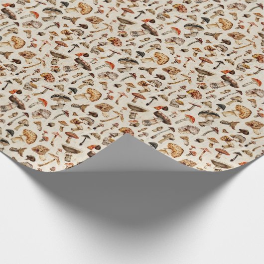 Cadeaupapier (Hoek)