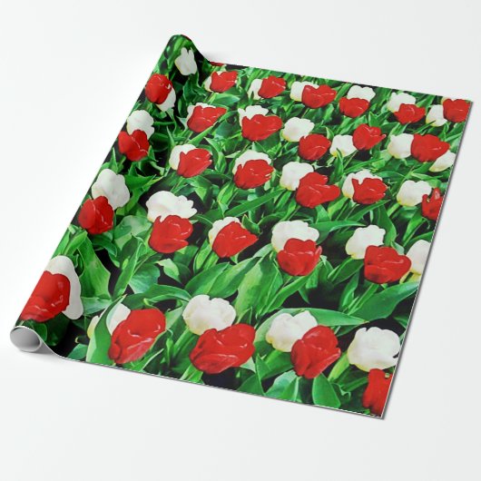 Cadeaupapier (Uitgerold)
