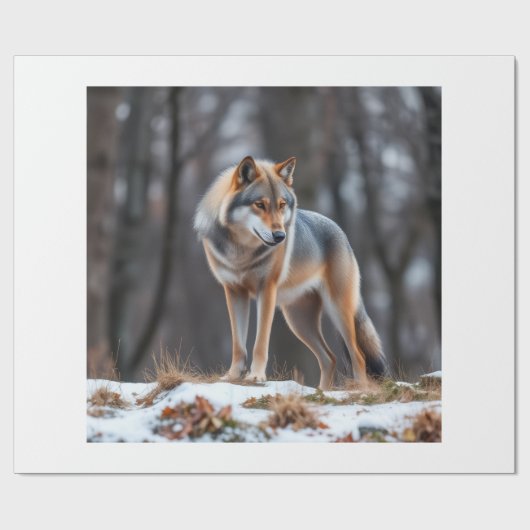 Cadeaupapier  (Vlak)