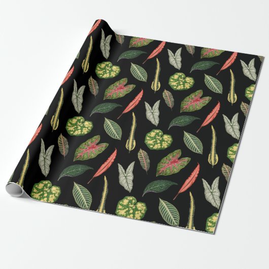 Cadeaupapier (Uitgerold)