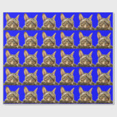 Cadeaupapier |Cornish Rex Tiger Cat Blue (Vlak)