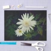 CADEAUPAPIER KUNST EN DESIGN TISSUEPAPIER (Craft)