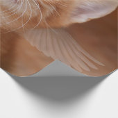 Cadeaupapier met engelkat (Hoek)