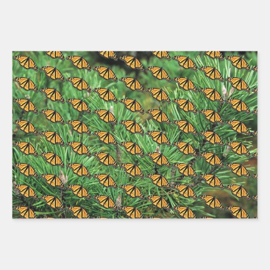 Cadeaupapier Monarchs op dennenboughs (Voorkant 2)